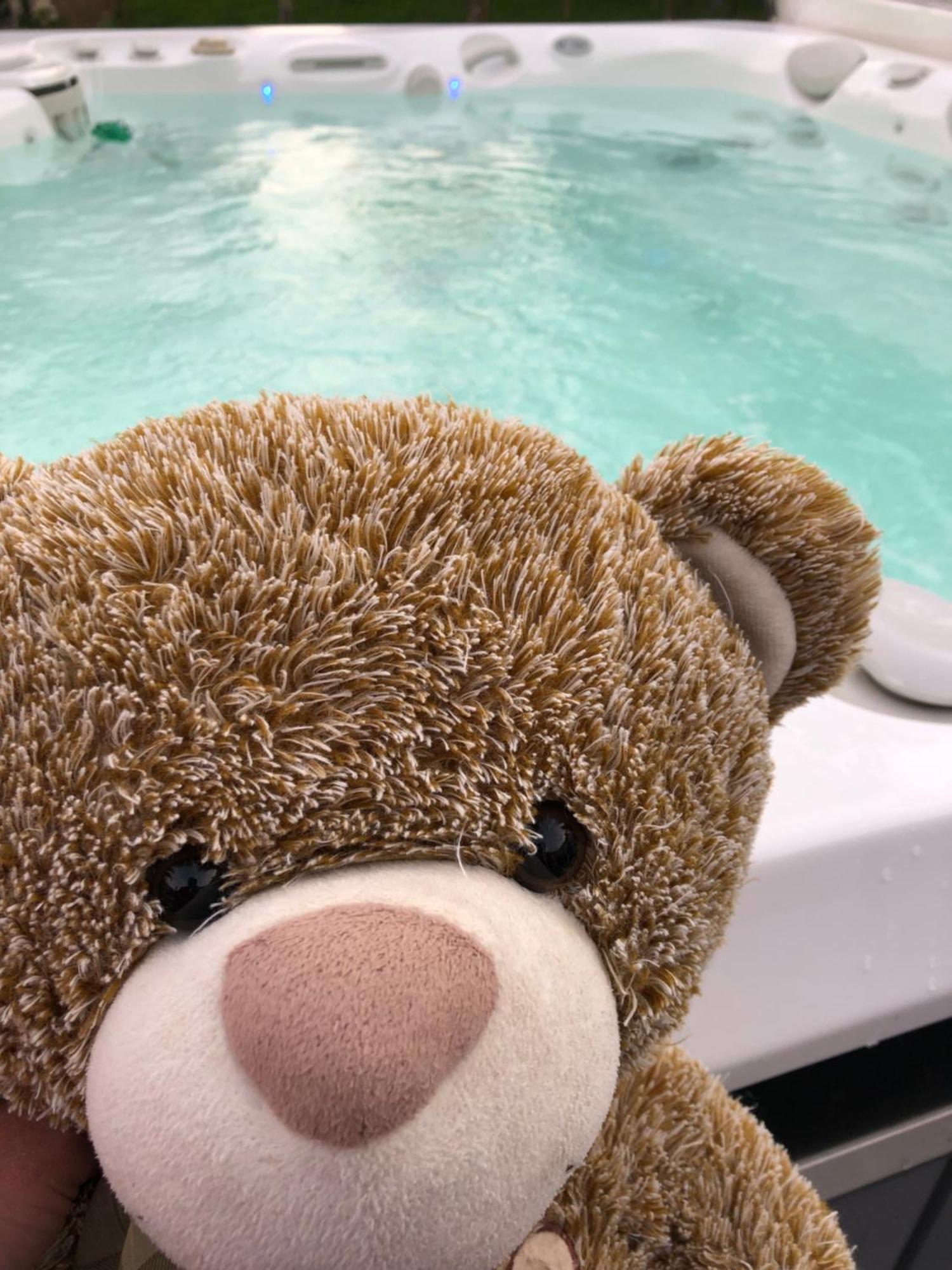 Le Clos De La Pommeraie Carly Eksteriør billede