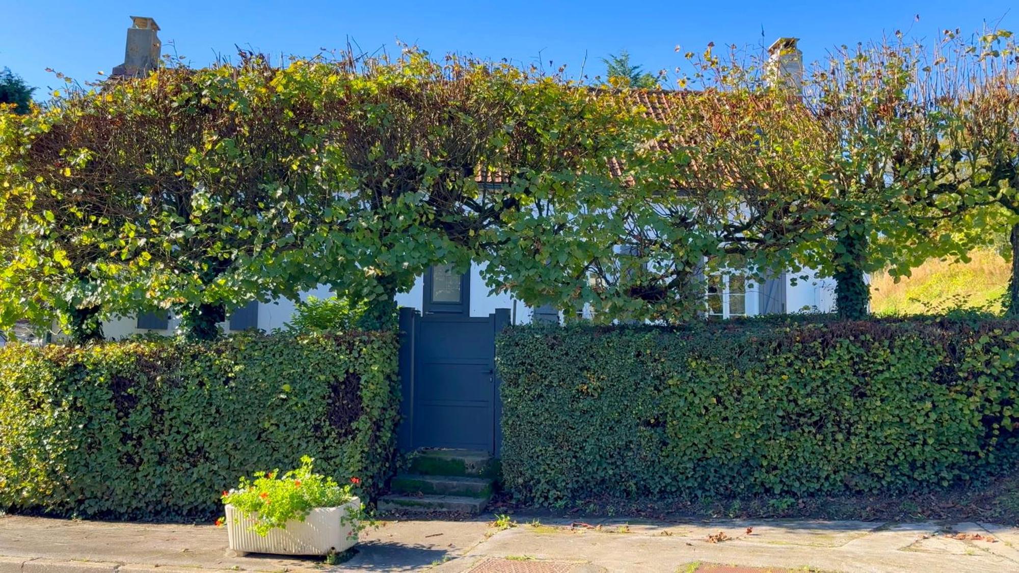 Le Clos De La Pommeraie Carly Eksteriør billede